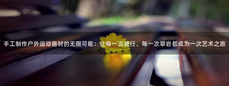 注册BWIN体育官方正版app：手工制作户外运动器材