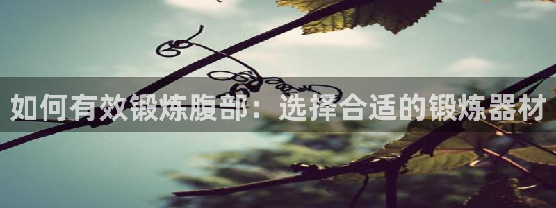 BWIN体育官网下载平台注册：如何有效锻炼腹部：选择合适的锻