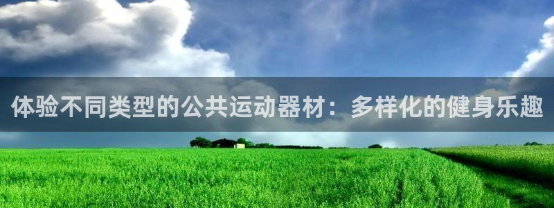 BWIN体育官方正版app官网：体验不同类型的公共运