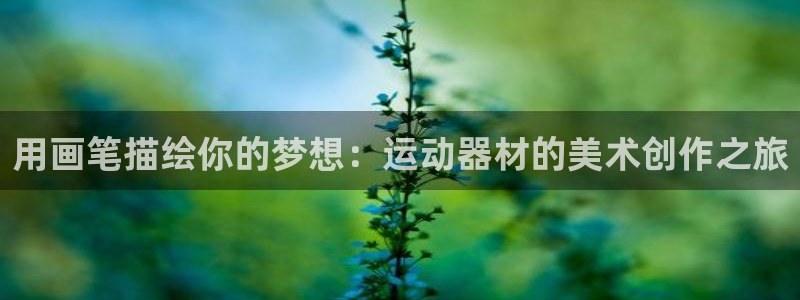 BWIN体育官方正版app娱乐：用画笔描绘你的梦想：运动器材