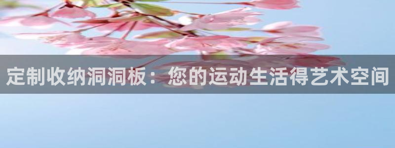 BWIN体育官方正版app集团：定制收纳洞洞板：您的运动生活