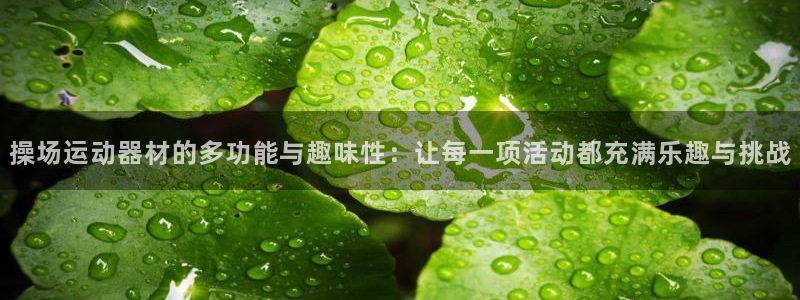 BWIN体育官网下载平台假的吗是真的吗：操场运动器材的多功能