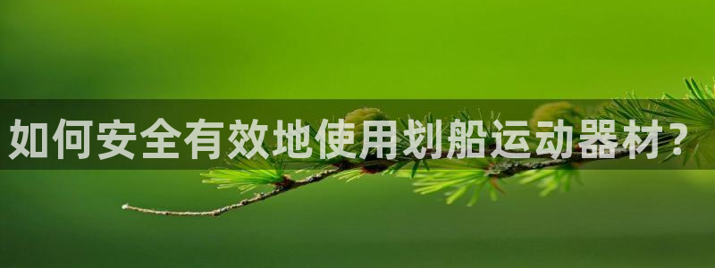 德国BWIN体育官方正版app集团：如何安全有效地使用划船运
