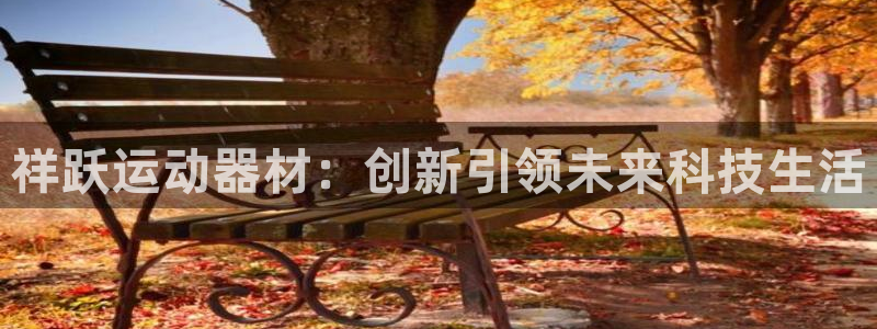 BWIN体育官网下载招商电话地址是多少：祥跃运动器材：创新引