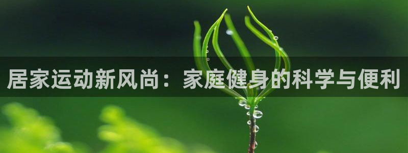 BWIN体育官网下载平台假的吗是真的吗：居家运动新风尚：家庭