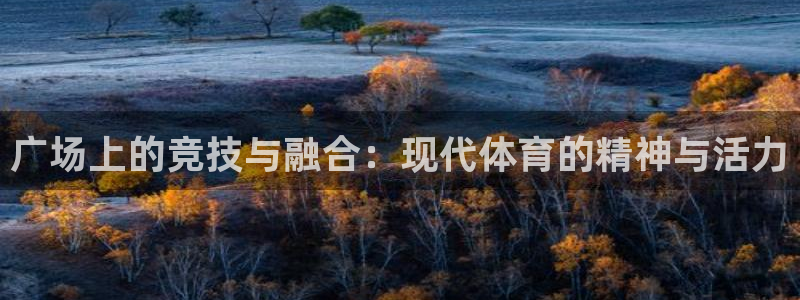 注册BWIN体育官方正版app：广场上的竞技与融合：