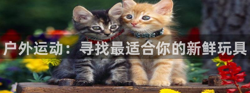 BWIN体育官网下载平台APP：户外运动：寻找最适合你的新鲜