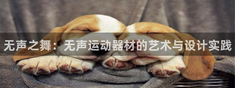 BWIN体育官网下载招商电话地址：无声之舞：无声运动器材的艺