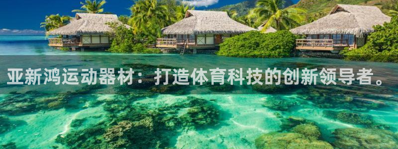 德国BWIN体育官方正版app集团：亚新鸿运动器材：打造体育