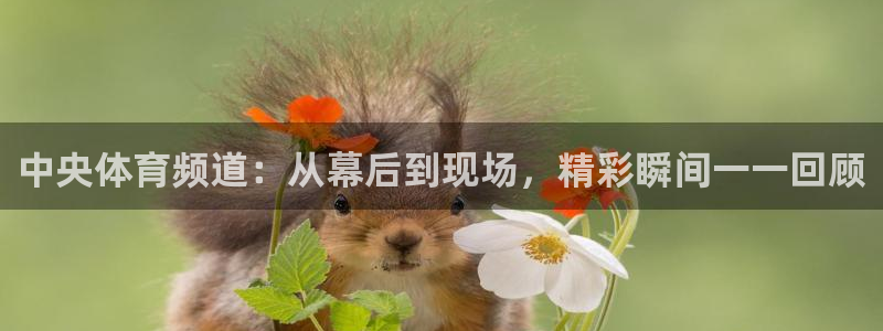 劲爆体育电视直播