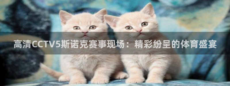 劲爆体育在线直播app
