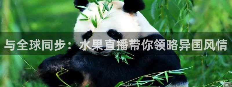 劲爆体育直播免费观看完整版