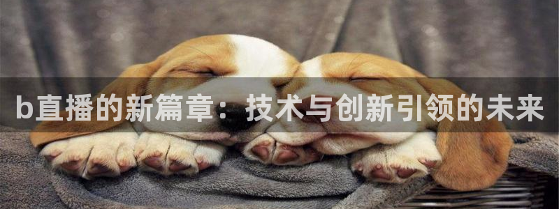 劲爆体育免费直播nba边看边玩1.新通道.top