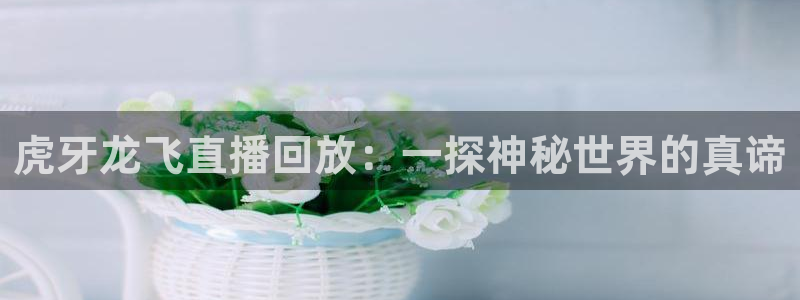劲爆体育nba直播免费观看