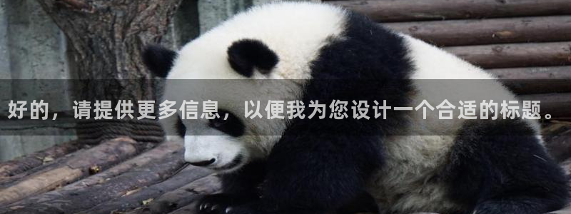 劲爆体育在线高清直播nba