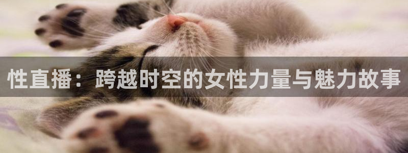 劲爆体育nba直播在线观看免费