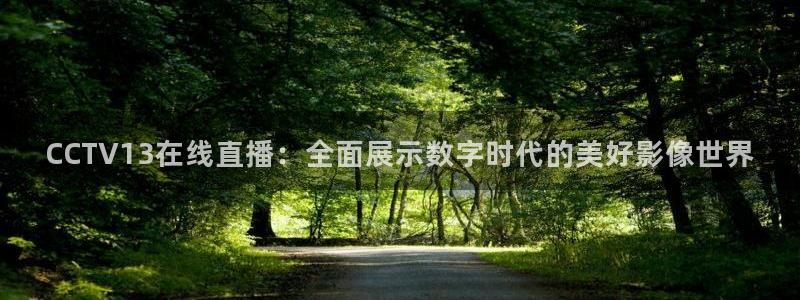劲爆体育nba直播视频：CCTV13在线直播：全面展示数字时代的美好影像世界