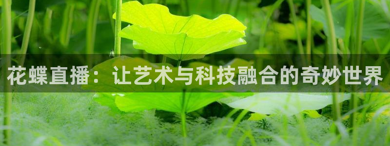nba劲爆体育直播在哪看：花蝶直播：让艺术与科技融合的奇妙世界