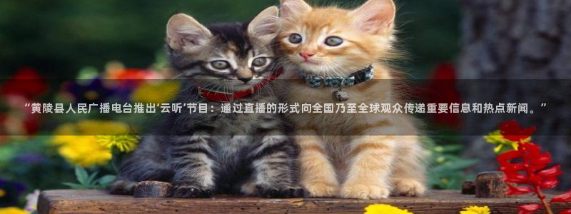 劲爆体育f1直播