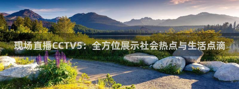 劲爆体育在线直播免费观看