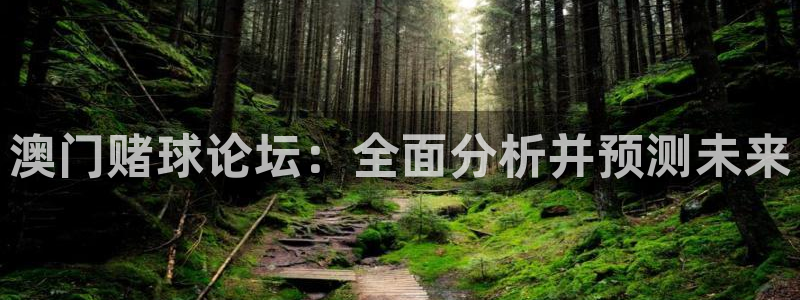劲爆体育在线直播观看上海三打一：澳门赌球论坛：全面分析并预测未来