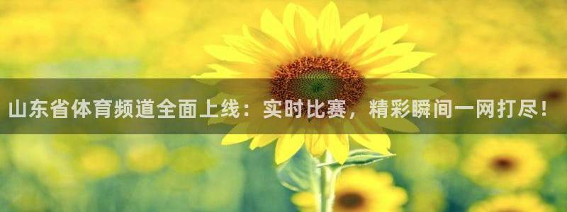 劲爆体育节目表直播：山东省体育频道全面上线：实时比赛，精彩瞬间一网打尽！